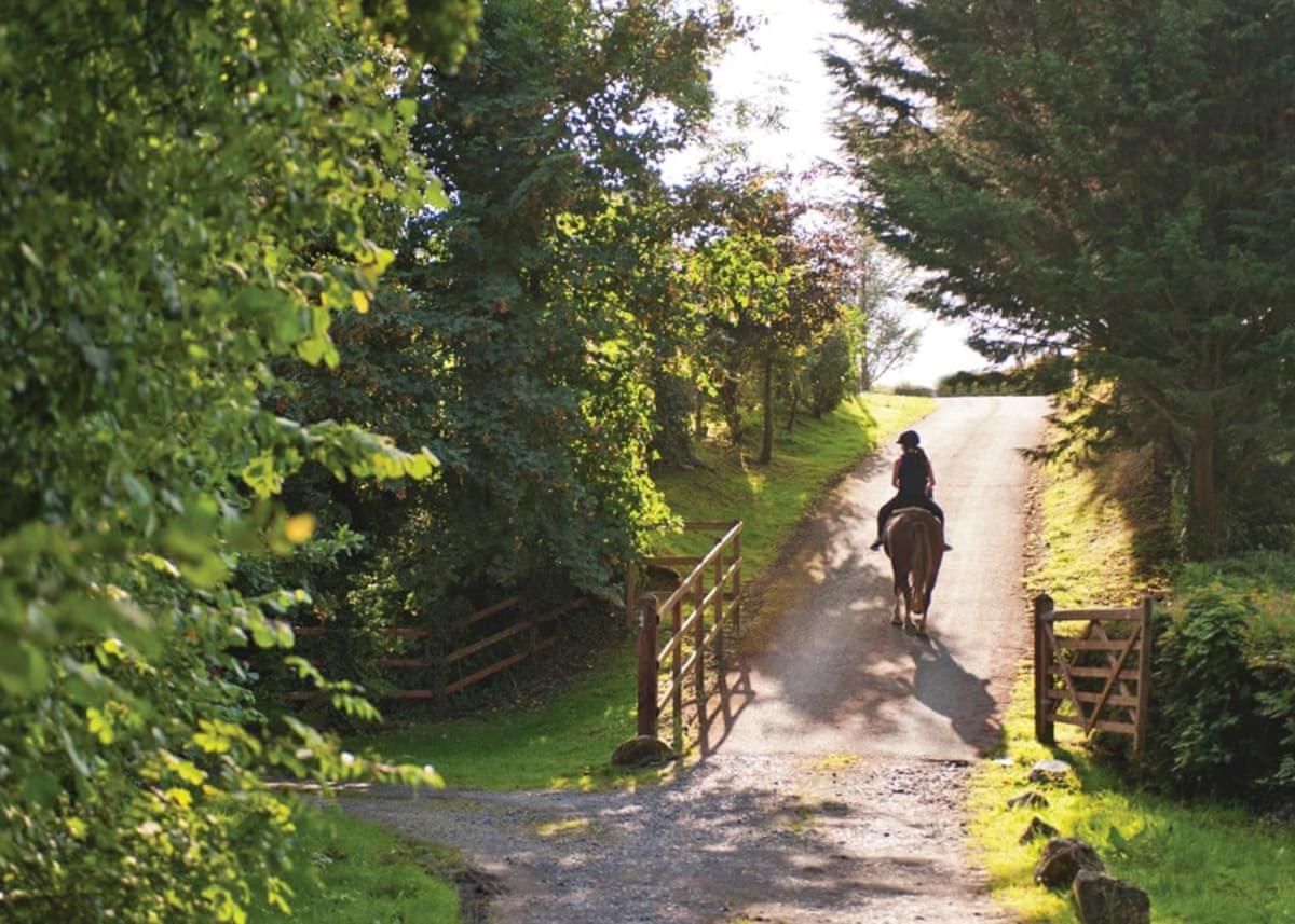Grondre Holiday Park Clynderwen 外观 照片